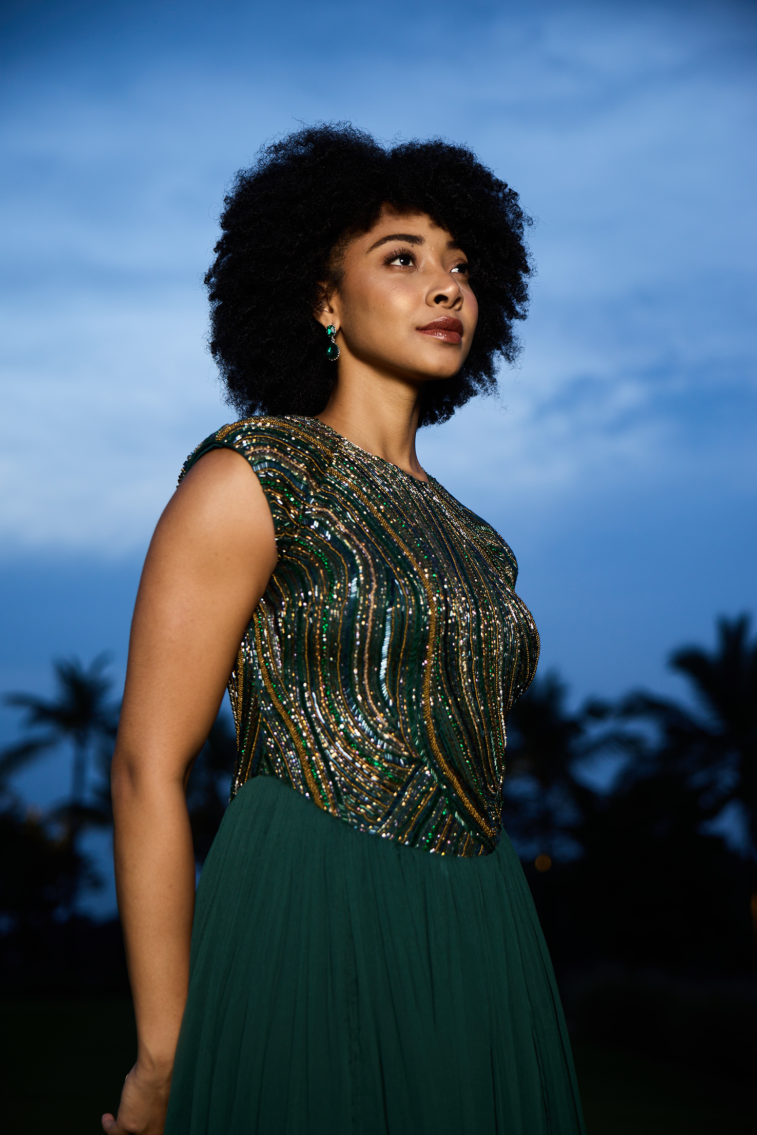 Emerald Green Lily Dress | Sequin Embellished Dress
